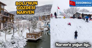 BOLU’NUN GÖZDESİ NARVEN