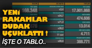 KORKUNÇ KORONA VİRÜS TABLOSU !