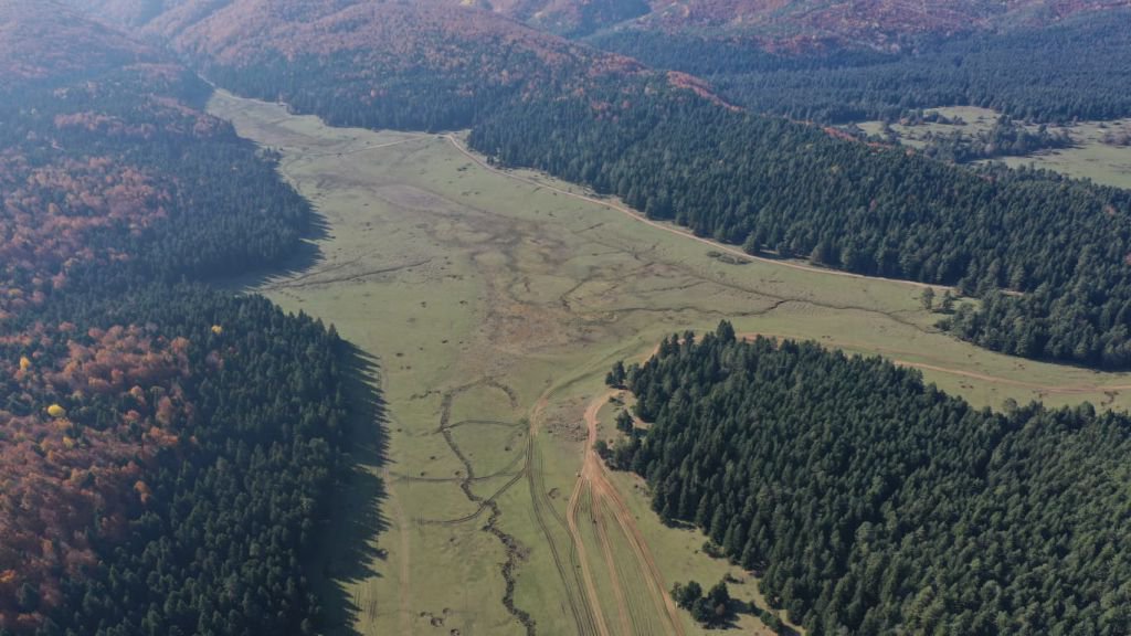 AT YAYLASI ŞEHİR OLMUŞ !