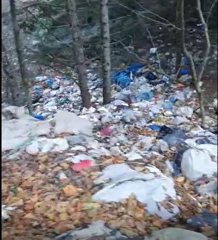 AT YAYLASINDA KORKUNÇ GÖRÜNTÜLER