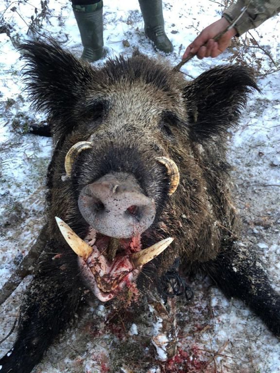 AVCILARIN ZAFER POZU....