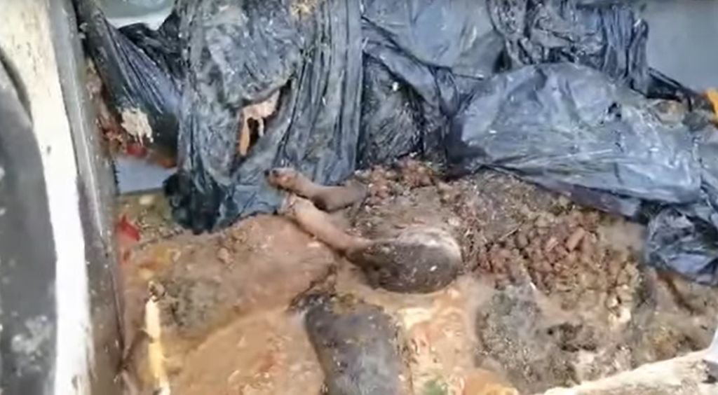 SKANDAL GÖRÜNTÜLERE BÜYÜK TEPKİ..