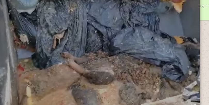 SKANDAL GÖRÜNTÜLERE BÜYÜK TEPKİ..