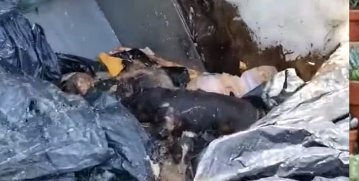 SKANDAL GÖRÜNTÜLERE BÜYÜK TEPKİ..