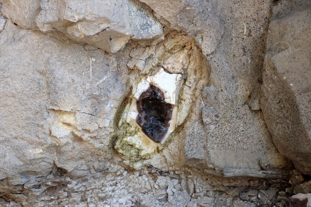 BOLU'DA 19 MİLYON YIL ÖNCESİNE YOLCULUK