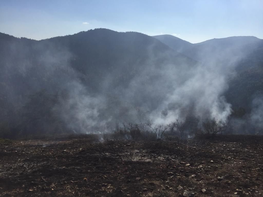 BOLU'DA BİR ORMAN YANGINI DAHA!