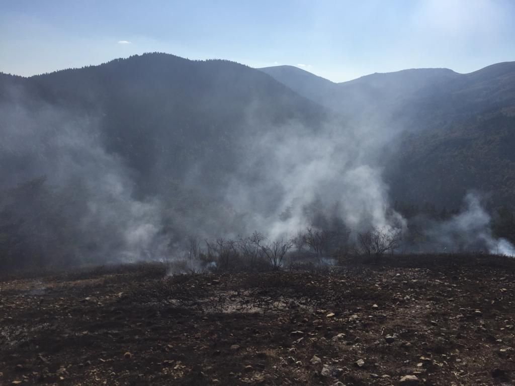 BOLU'DA BİR ORMAN YANGINI DAHA!