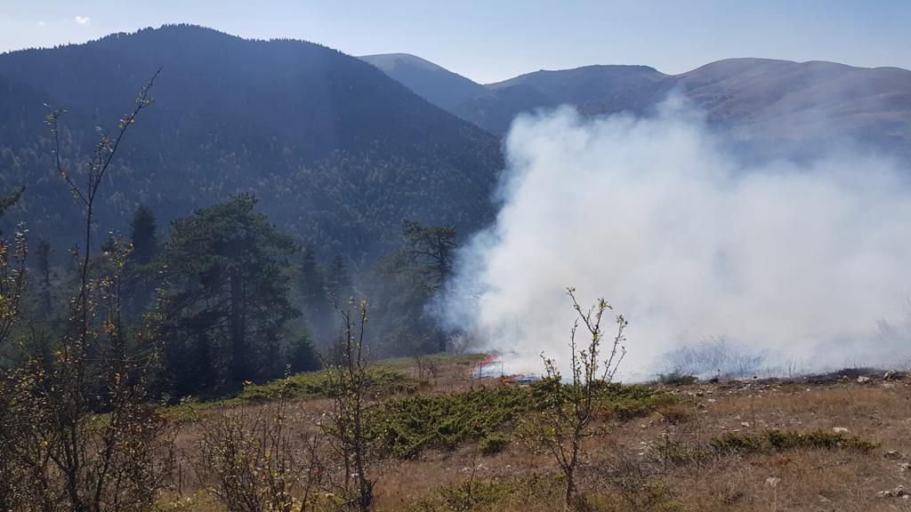BOLU'DA BİR ORMAN YANGINI DAHA!