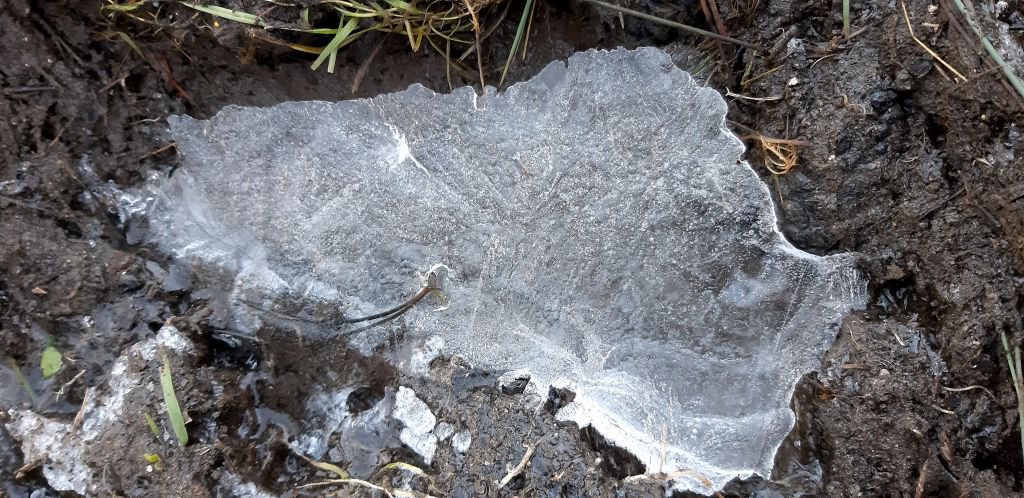 BOLU'DA DERELER DONDU !