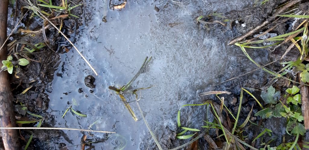 BOLU'DA DERELER DONDU !