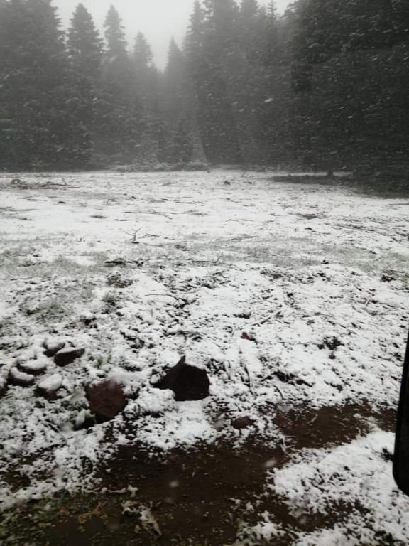 BOLU'DA LAPA LAPA KAR YAĞDI