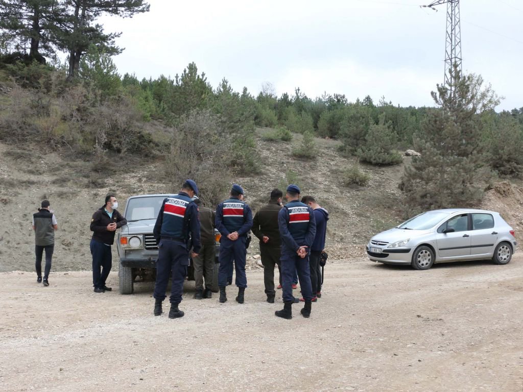 BOLU'DA MANTAR TOPLAYANLARA CEZA YAZILDI