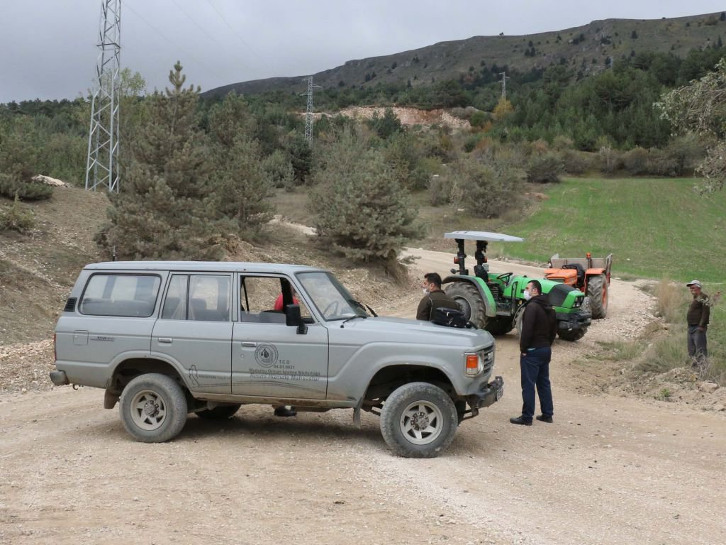 BOLU'DA MANTAR TOPLAYANLARA CEZA YAZILDI
