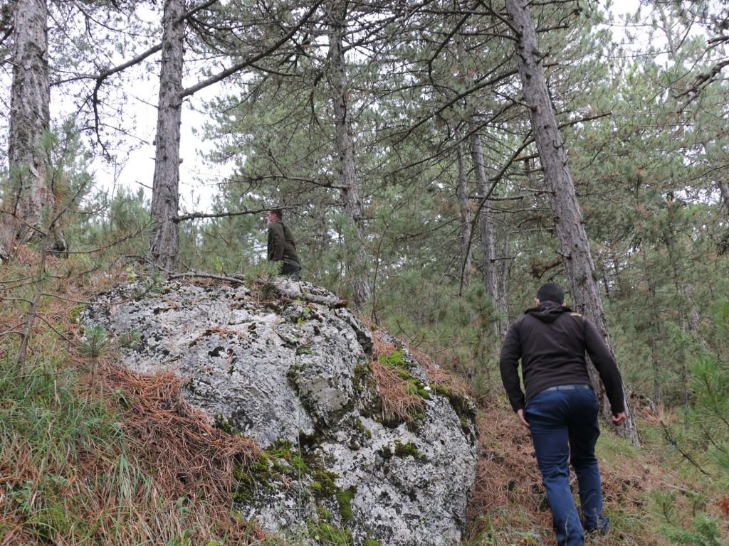 BOLU'DA MANTAR TOPLAYANLARA CEZA YAZILDI
