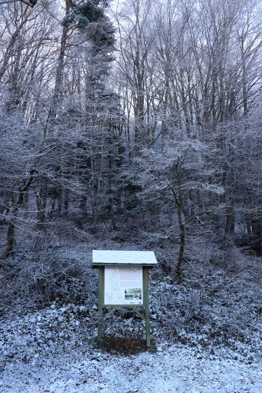 BOLU'NUN DAĞLARINA BEREKET YAĞDI