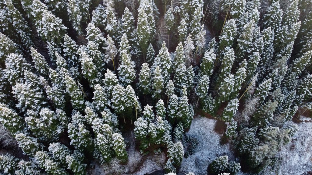 BOLU'NUN DAĞLARINA BEREKET YAĞDI