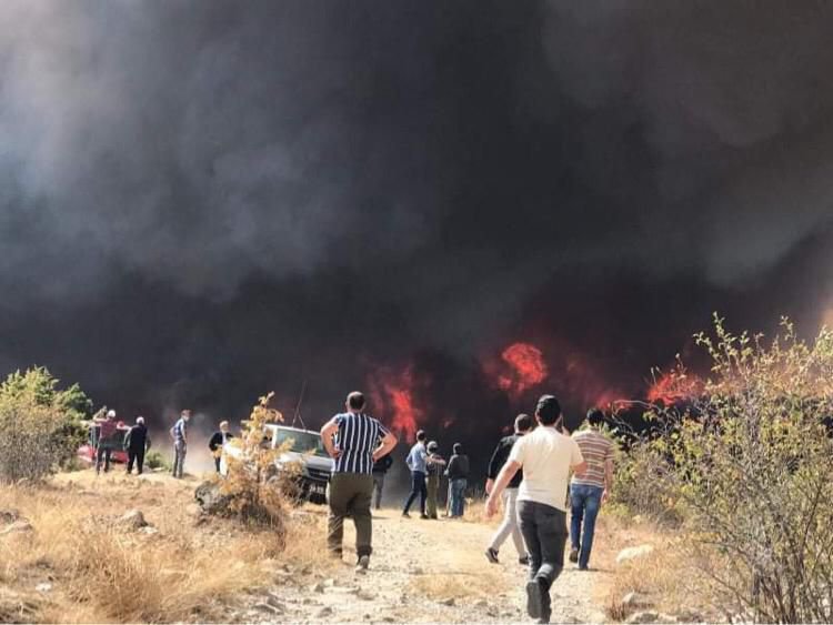 BÜYÜK ORMAN YANGINI, BİR İLÇE AYAKTA