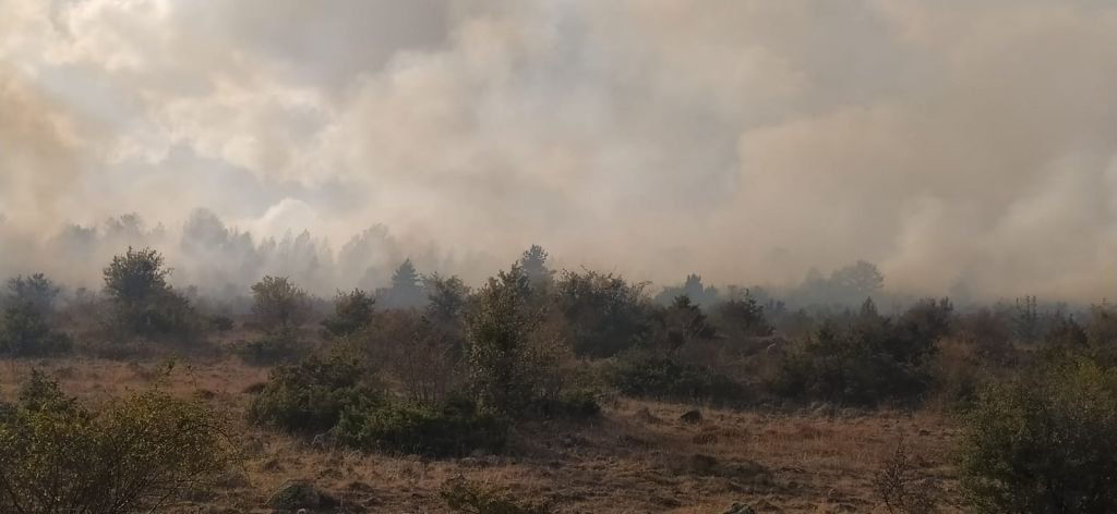 BÜYÜK ORMAN YANGINI, BİR İLÇE AYAKTA