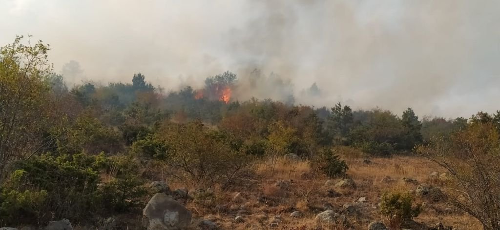 BÜYÜK ORMAN YANGINI, BİR İLÇE AYAKTA
