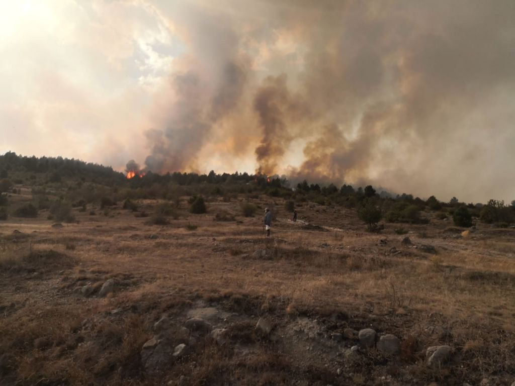 BÜYÜK ORMAN YANGINI, BİR İLÇE AYAKTA
