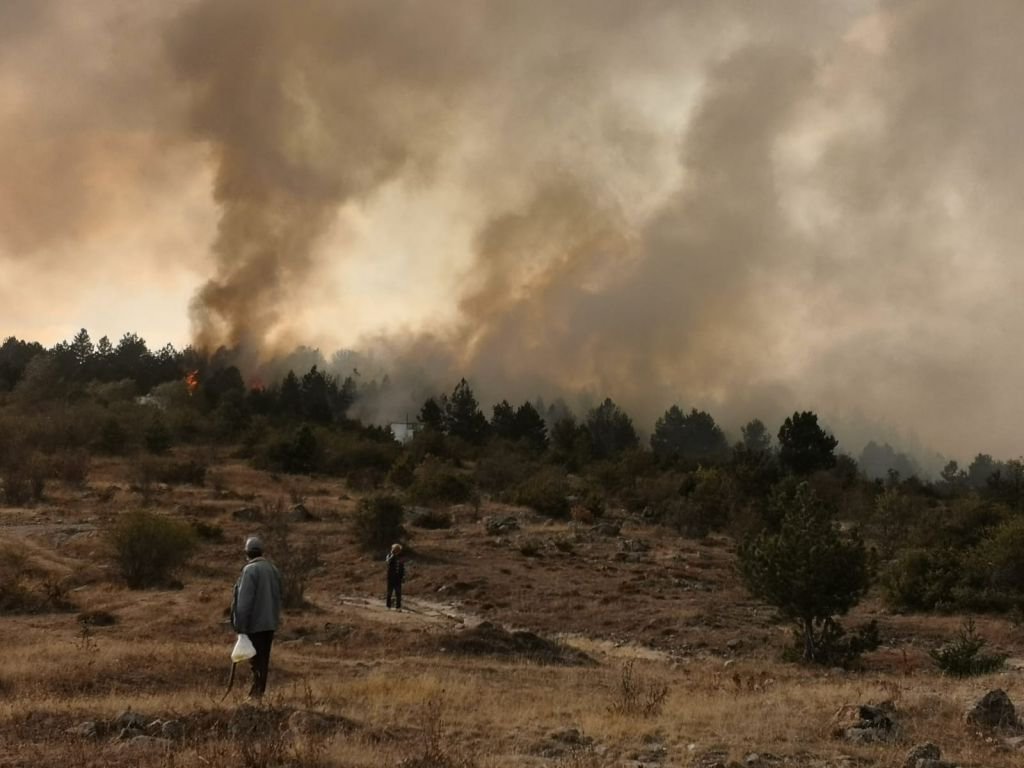 BÜYÜK ORMAN YANGINI, BİR İLÇE AYAKTA