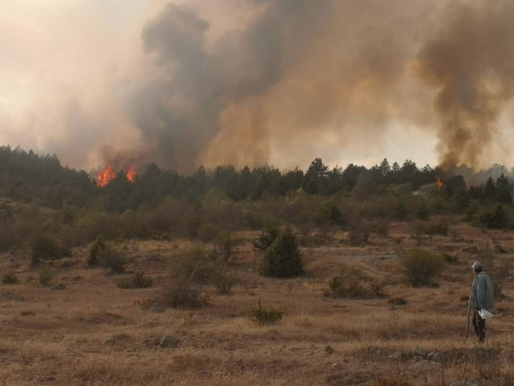 BÜYÜK ORMAN YANGINI, BİR İLÇE AYAKTA