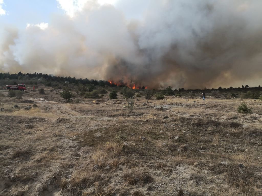 BÜYÜK ORMAN YANGINI, BİR İLÇE AYAKTA