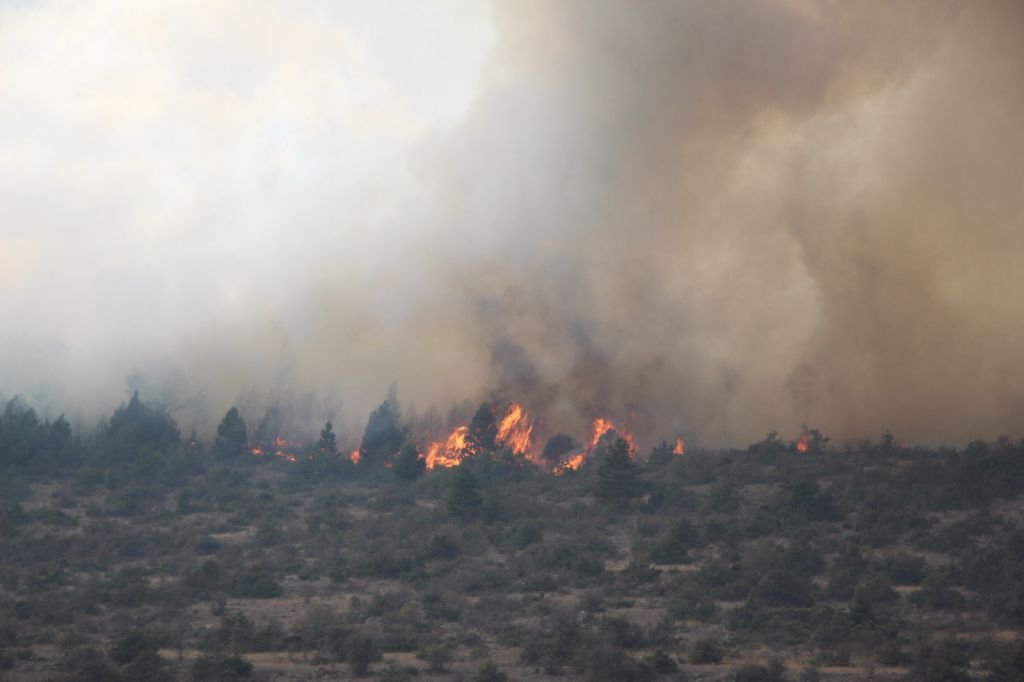 BÜYÜK ORMAN YANGINI, BİR İLÇE AYAKTA