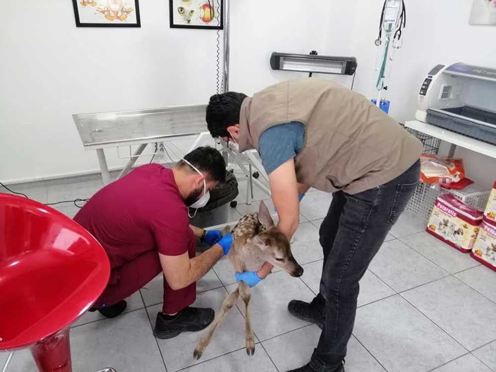 EKİPLER SEFERBER OLDU