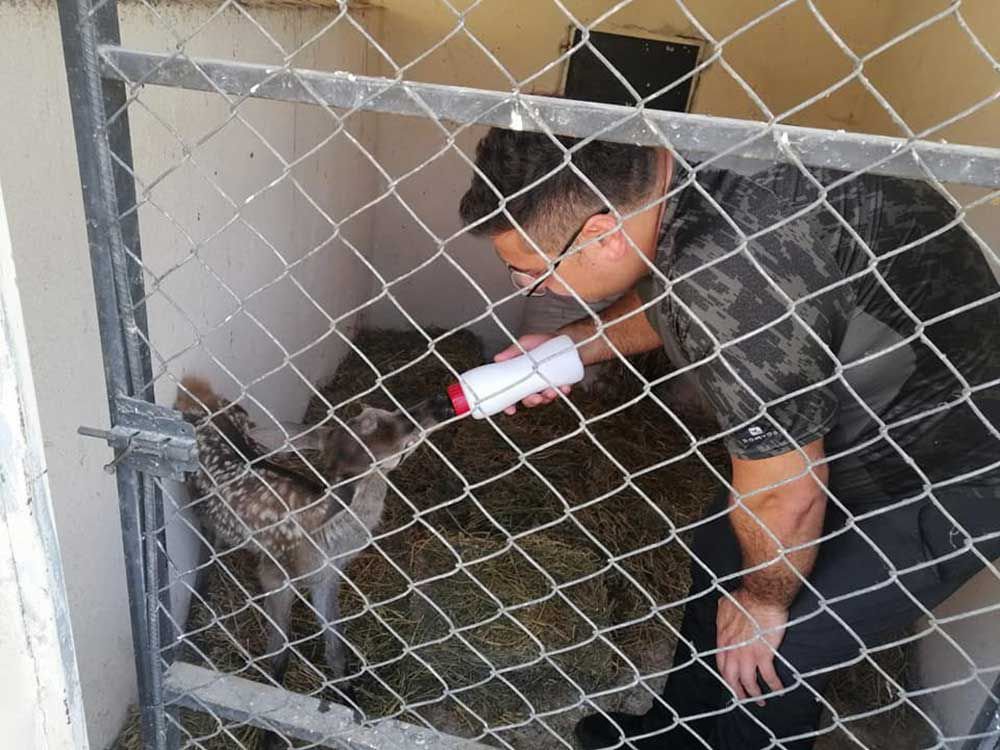 EKİPLER SEFERBER OLDU