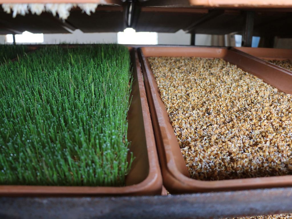 HOBİLERİ KAZANCA DÖNÜŞTÜ