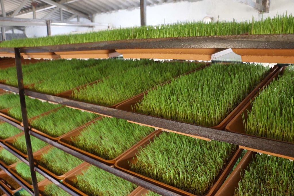 HOBİLERİ KAZANCA DÖNÜŞTÜ