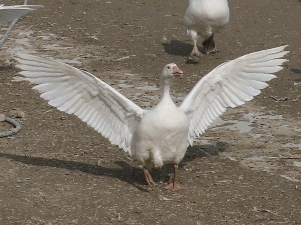 HOBİLERİ KAZANCA DÖNÜŞTÜ