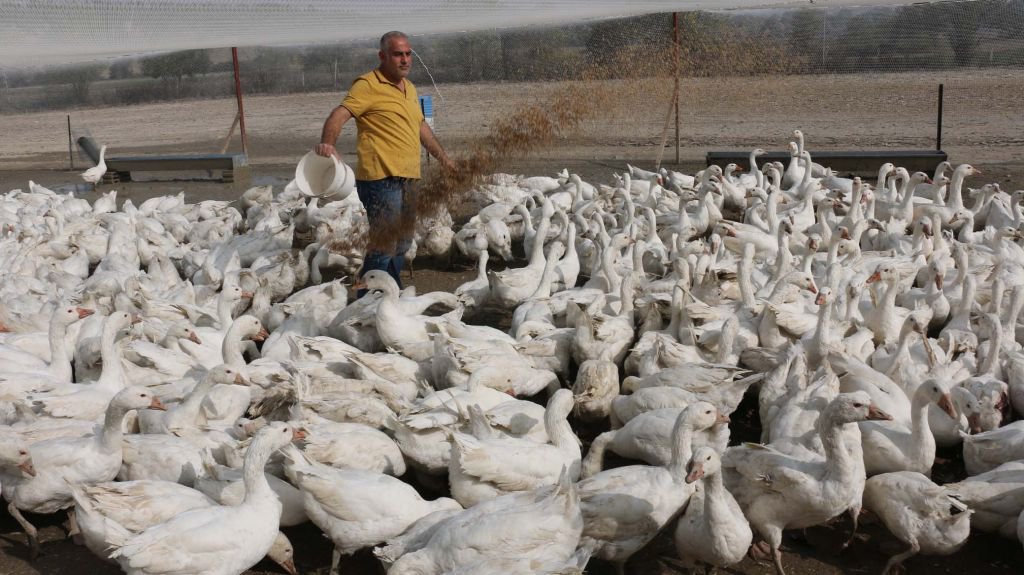 HOBİLERİ KAZANCA DÖNÜŞTÜ