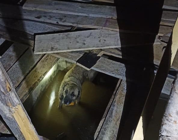 İTFAİYE SEFERBER OLDU