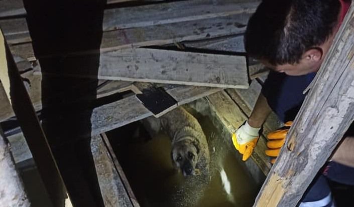 İTFAİYE SEFERBER OLDU