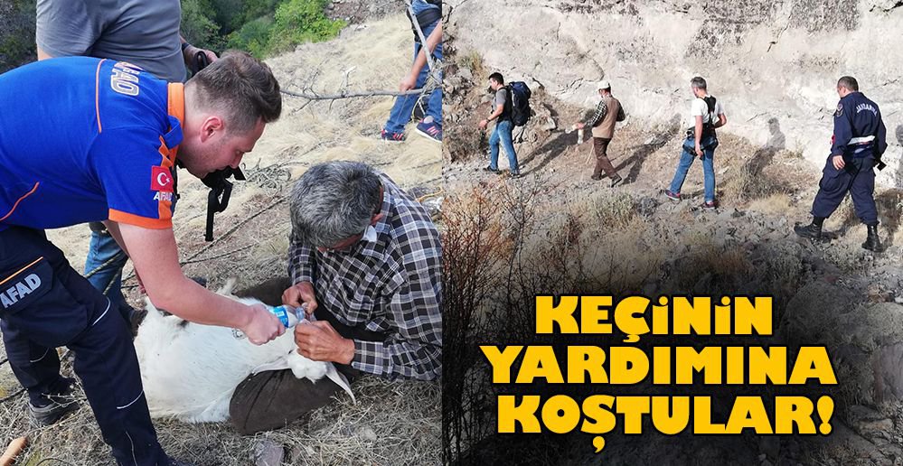 KAYALIK ALANDA MAHSUR KALDI