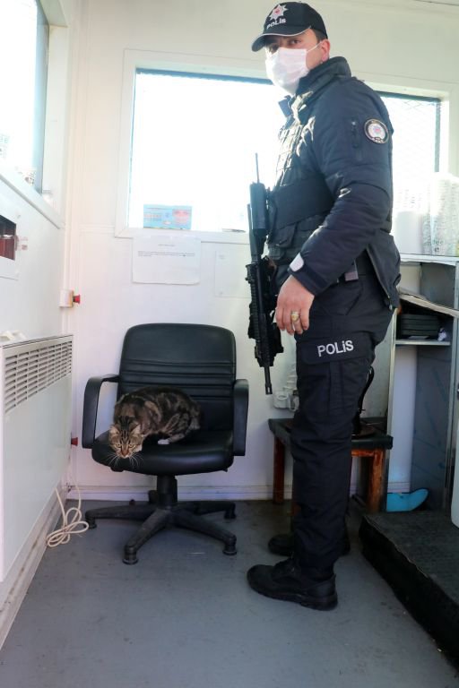 KEDİLER EMNİYETİN MASKOTU OLDU