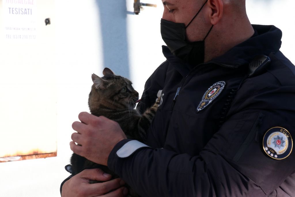 KEDİLER EMNİYETİN MASKOTU OLDU