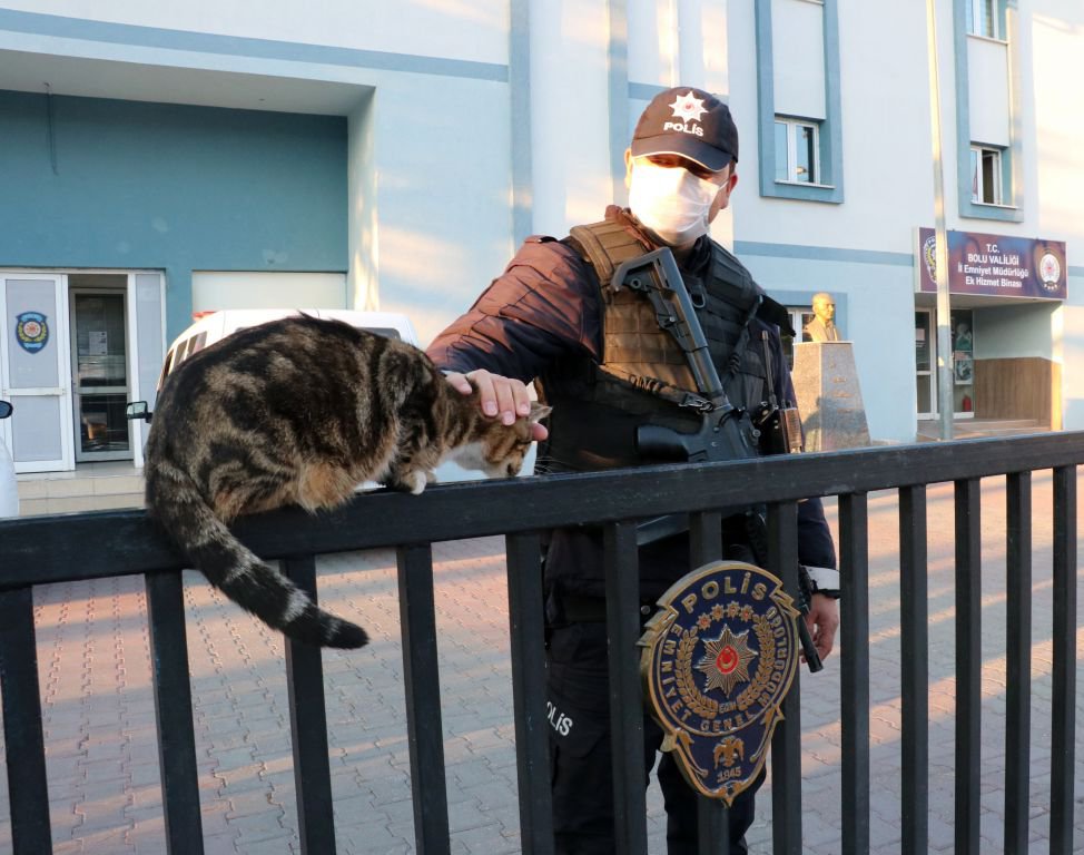 KEDİLER EMNİYETİN MASKOTU OLDU