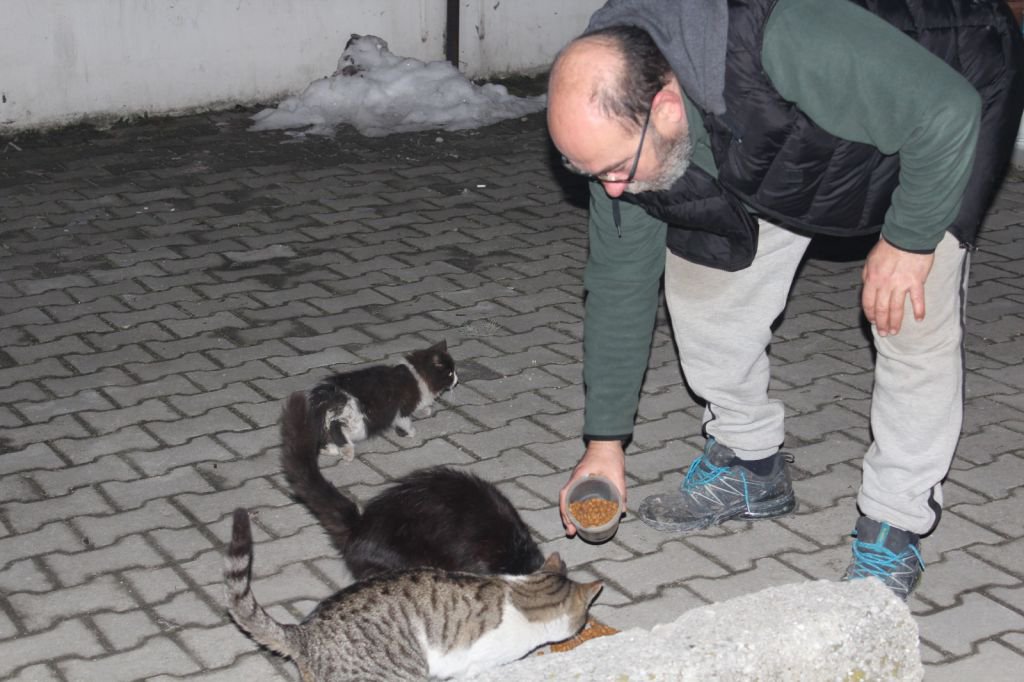 KENDİNİ SOKAK HAYVANLARINA ADADI