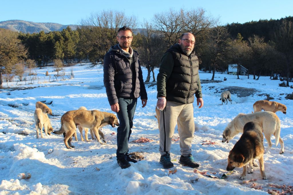 KENDİNİ SOKAK HAYVANLARINA ADADI