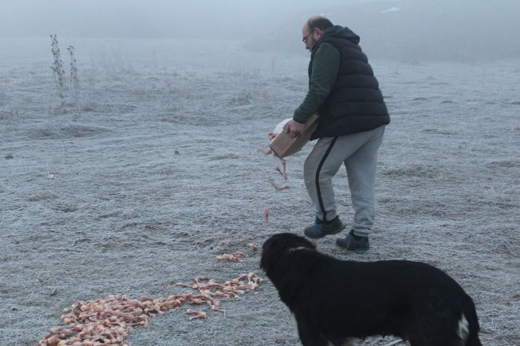 KENDİNİ SOKAK HAYVANLARINA ADADI