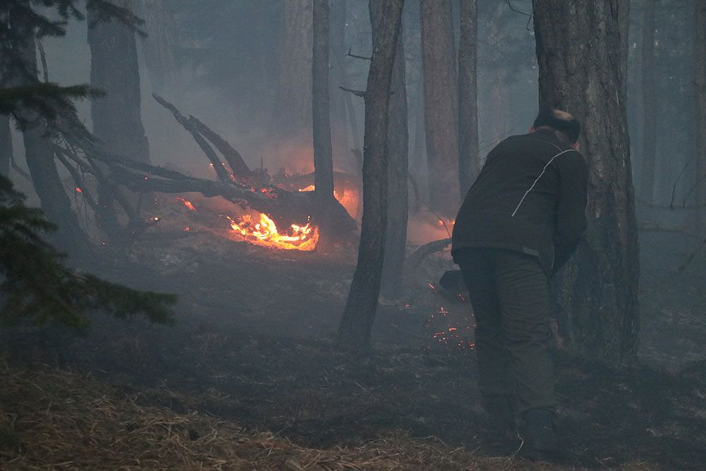 KÖYDE YANGIN PANİĞİ