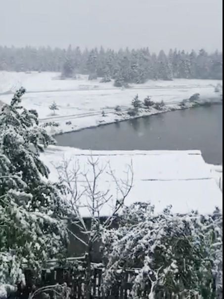 LAPA LAPA KAR YAĞDI