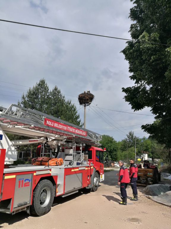 LEYLEK ELEKTRİK AKIMINA KAPILDI