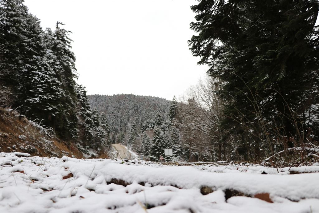 O YOLA KAR ENGELİ...