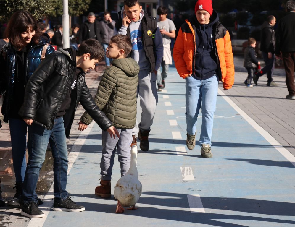 SEVGİNİN BÖYLESİ