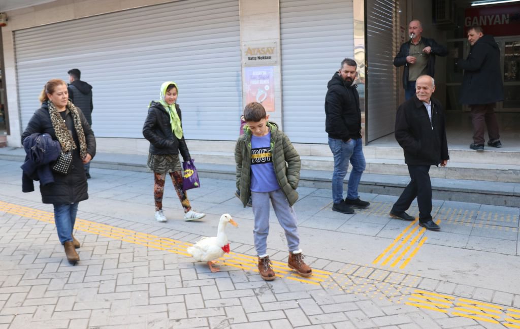 SEVGİNİN BÖYLESİ