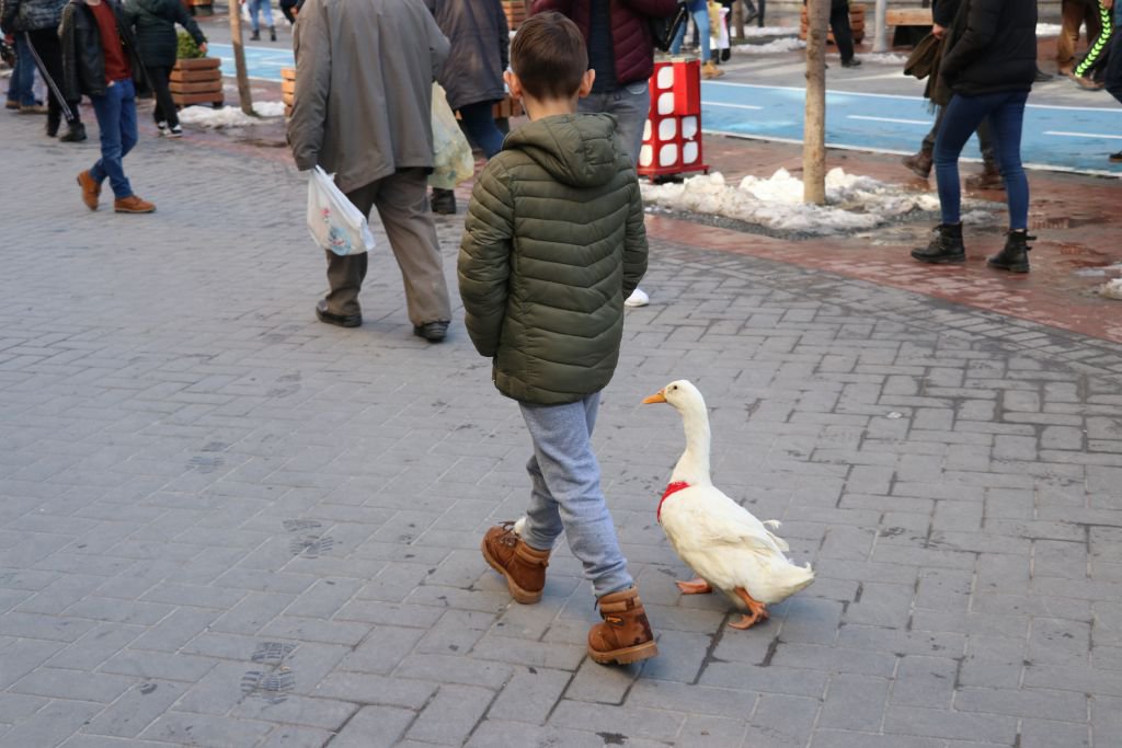 SEVGİNİN BÖYLESİ